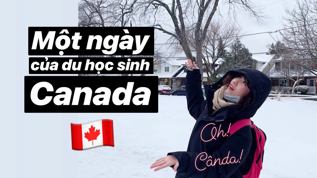 Một Ngày Của Du Học Sinh Canada 🇨🇦| A Day In My Life | Vlog | Diệu Linh ✨