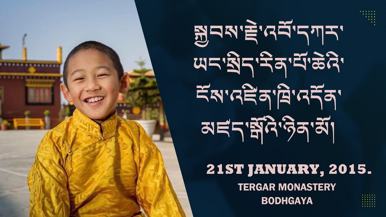 སྐྱབས་རྗེ་འབོ་དཀར་ཡང་སྲིད་རིན་པོ་ཆེའི་ཁྲི་འདོན་མཛད་སྒོ།  Bokar Yangsi Rinpoche celebration