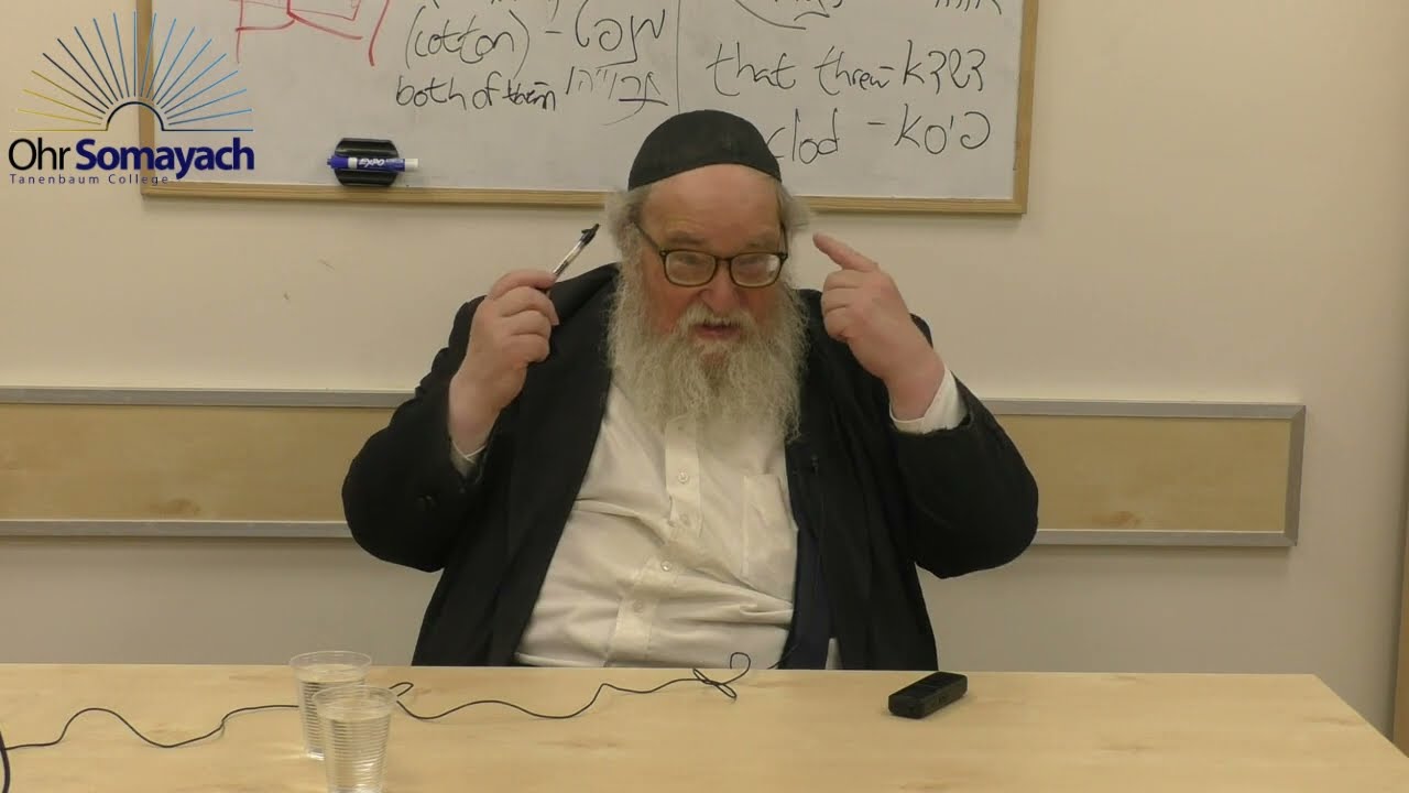 The Laws of Abortion for Jews and Non Jews Part 2 (Harav Yitzchak Breitowitz) (Halacha - Jewish Law)