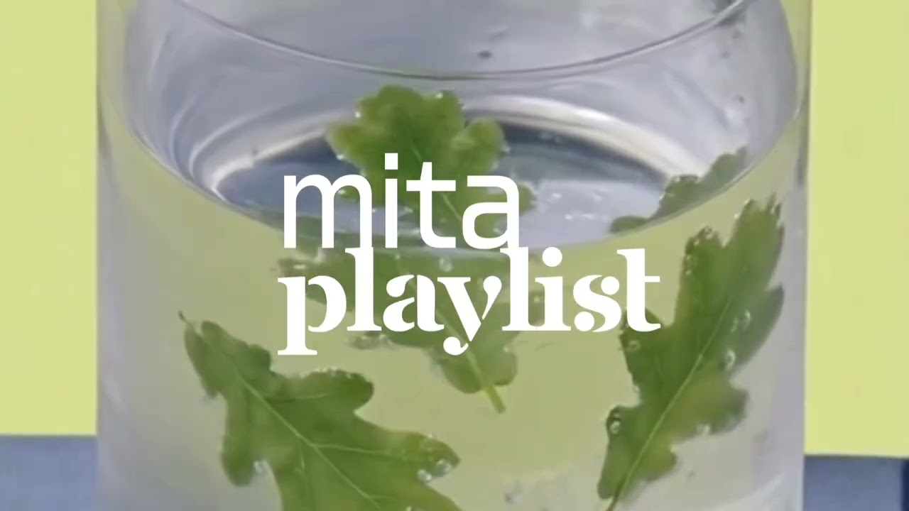playlist. 3월, 난 또 쉽게 사랑에 빠져ㅣspring playlist