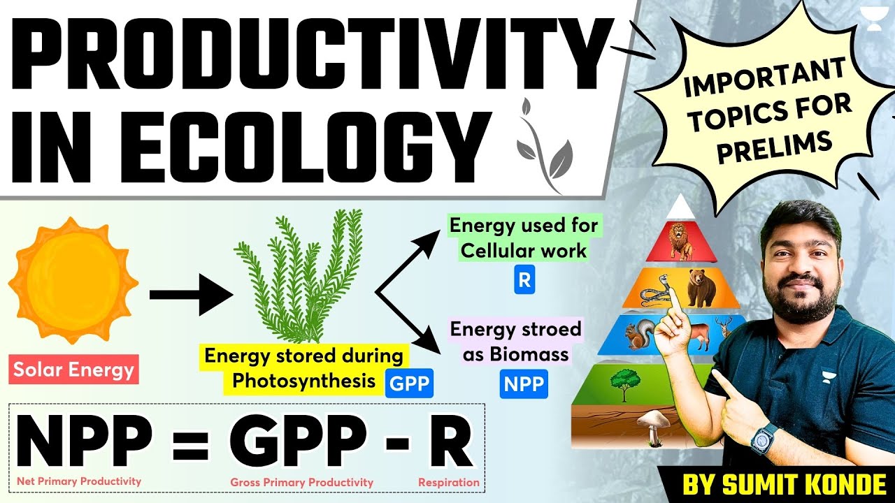 [Environment] Productivity in Ecology | Important Topics on Ecosystem for UPSC Prelims | Sumit Konde