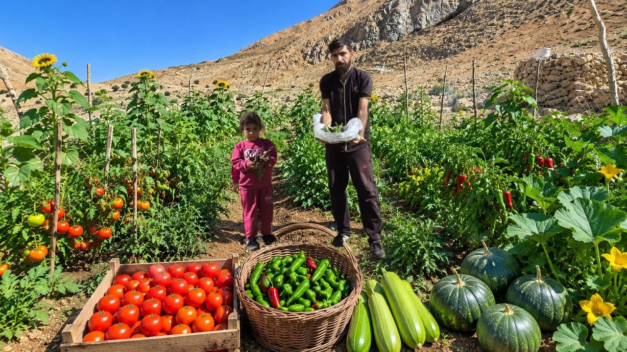 Real Cave Life in Iran&rsquo;s Zagros Mountains | Harvesting Fresh Organic Vegetables 🍅🌶️🥬