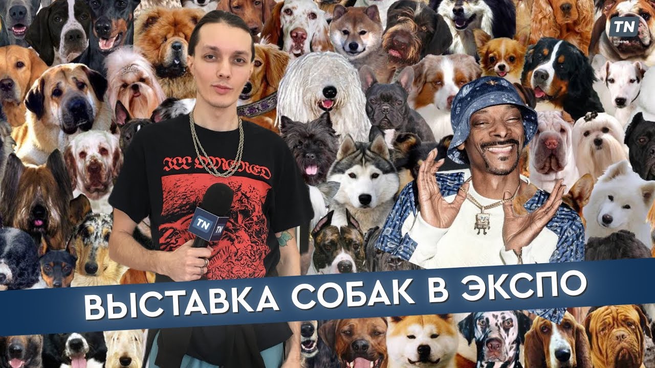 Выставка собак в Экспо