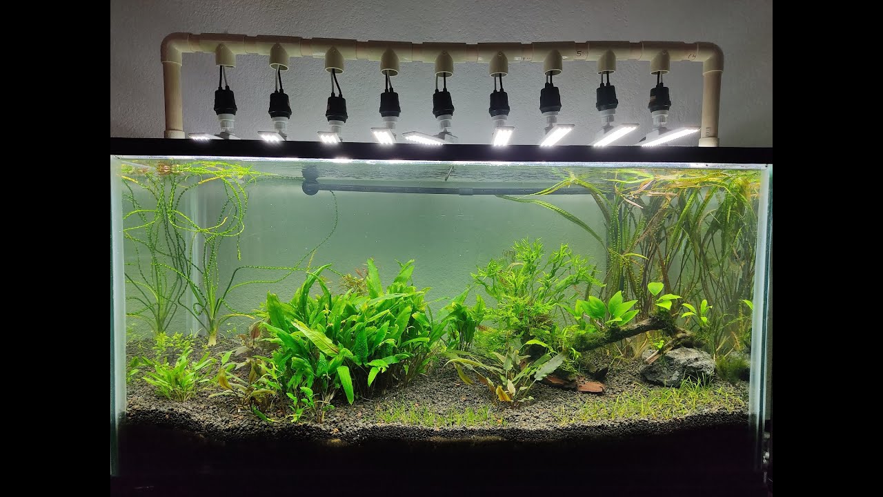 Lámpara Casera para acuarios plantados, hecha con PVC