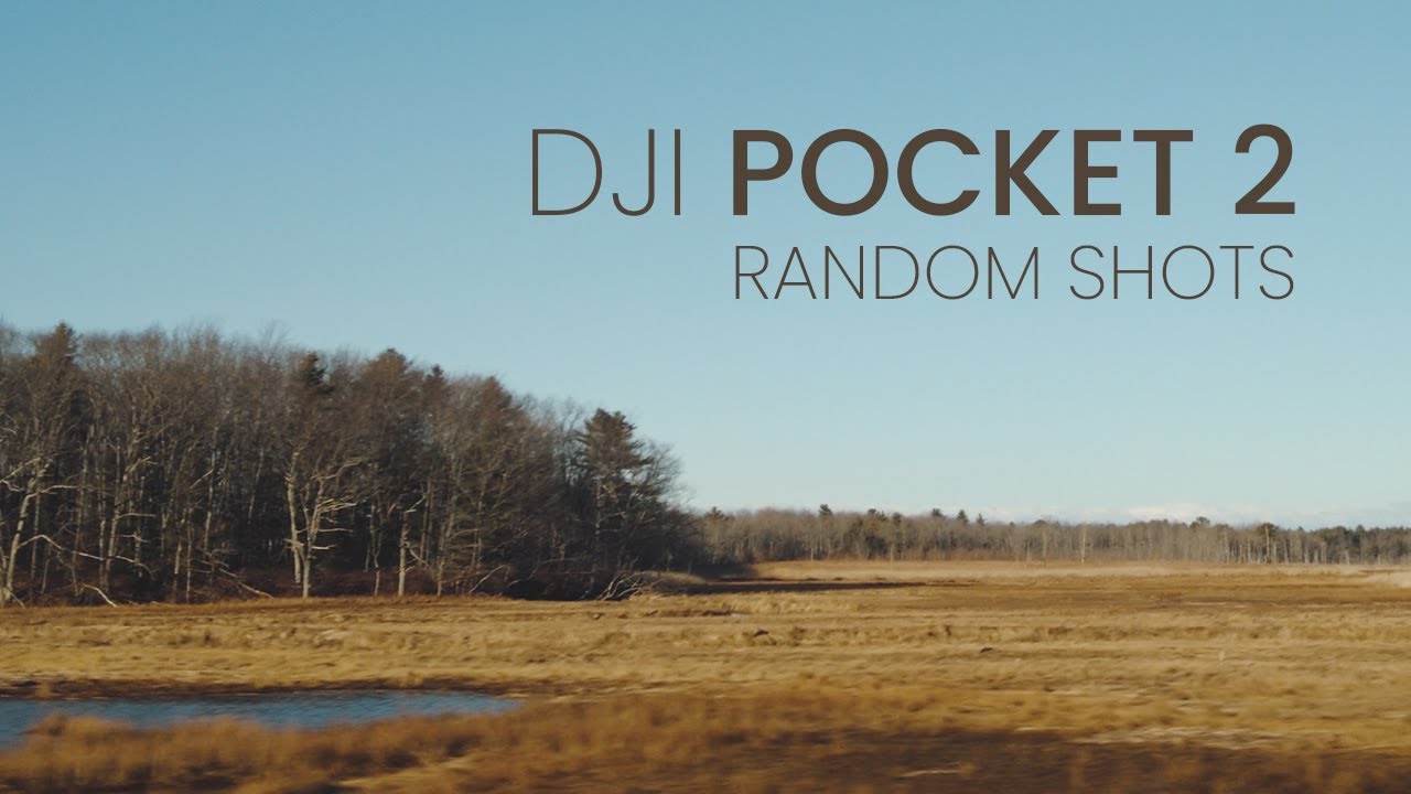 DJI Pocket 2 | Random Cinematic Shots | 4K