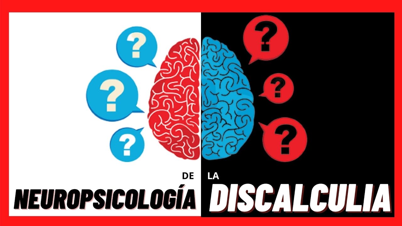 🧠 A qué partes del CEREBRO afecta la DISCALCULIA. Te contamos todo sobre sus BASES ORGÁNICAS