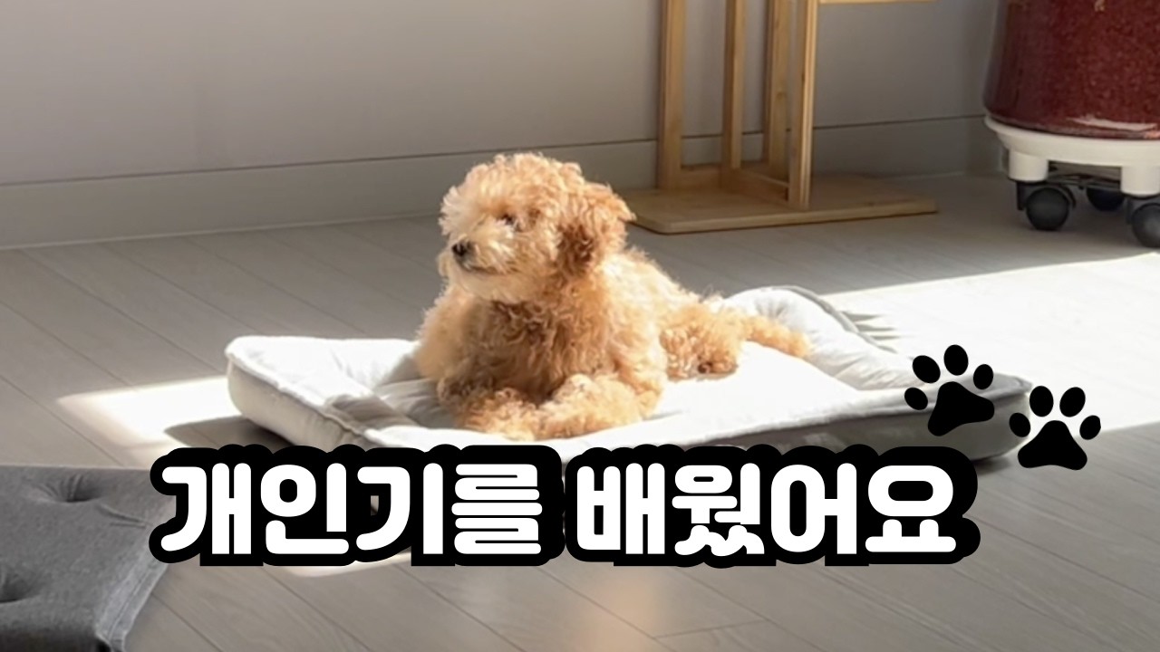 열무가 개인기를 배웠어요