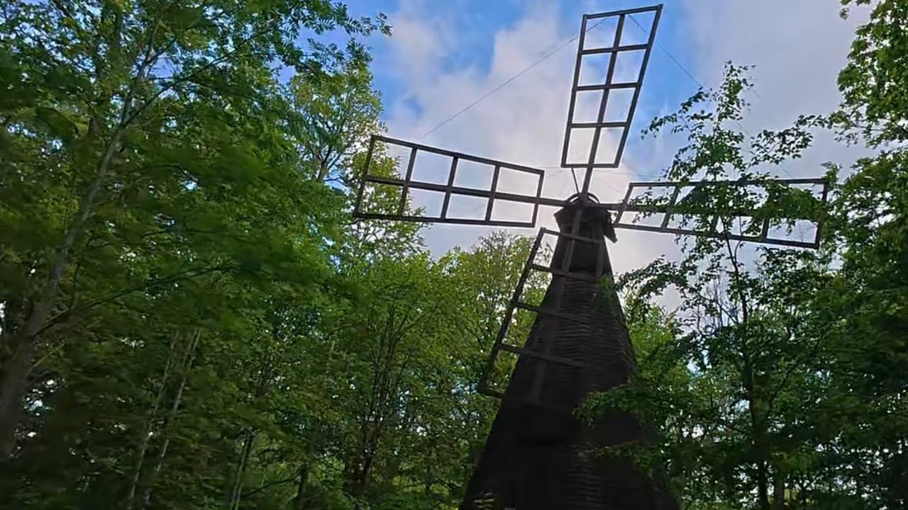 smoked salmon and windmills