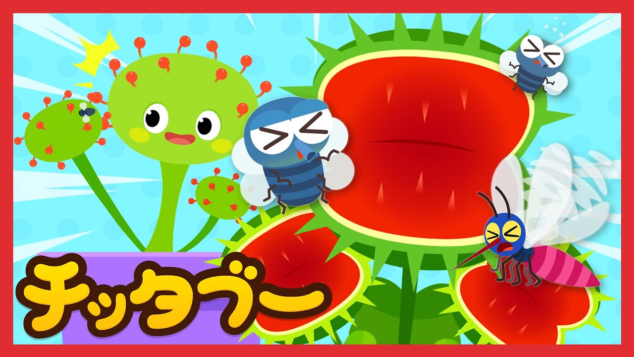 カとハエ  パクリ！  食虫植物！| 昆虫のうた | ムシのうたメドレー |  キッズソング | 子どもの歌 | #チッタブー