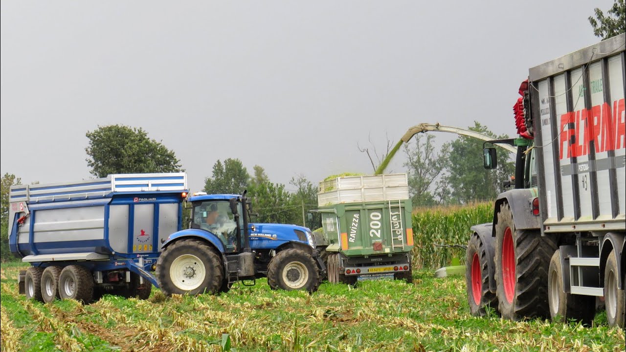 INSILATO MAIS 2020| Claas Jaguar 970, 6x Fendt, New Holland T7.250, Iveco EuroTech| *New* Orbis 750
