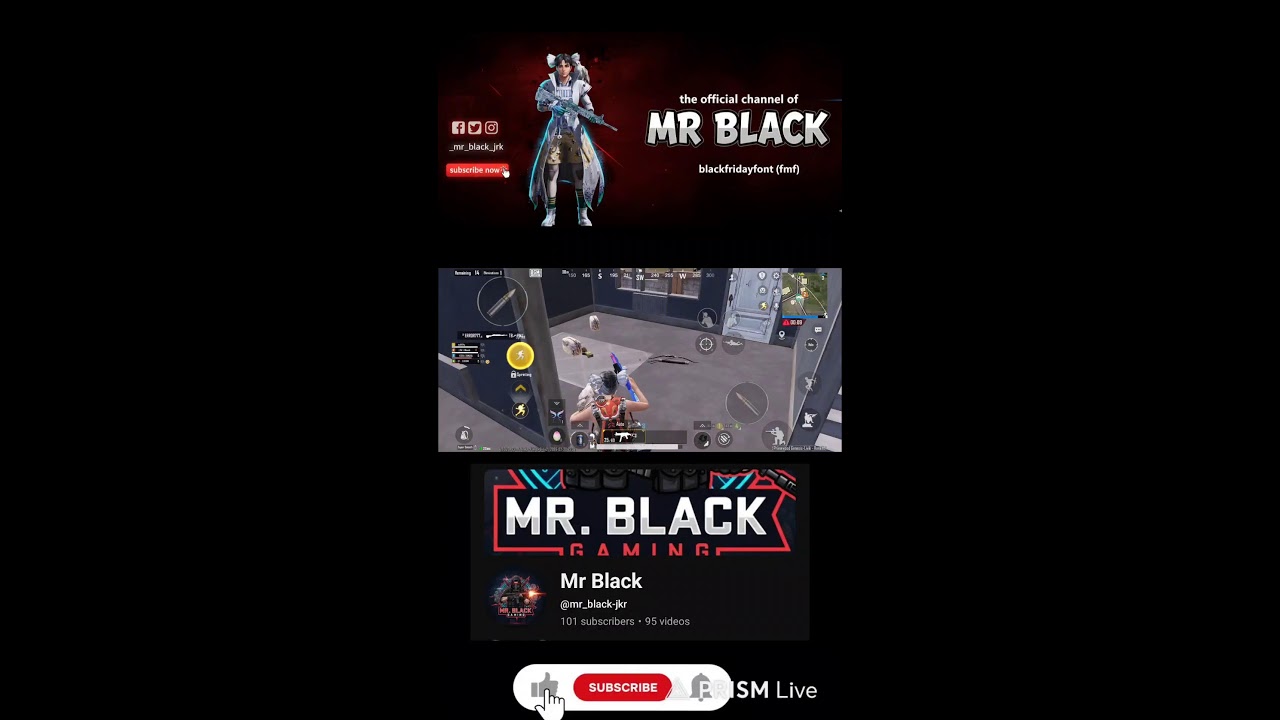 Live streaming of Mr Black