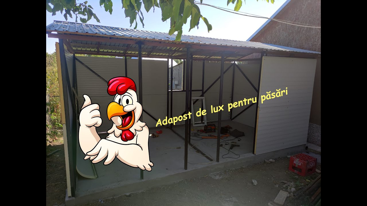 Cum am construit un adăpost pentru păsări simplu, rapid, durabil și cu buget redus - Partea 1