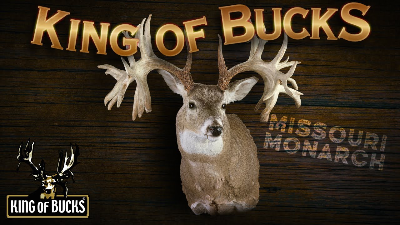 Missouri Monarch | King of Bucks