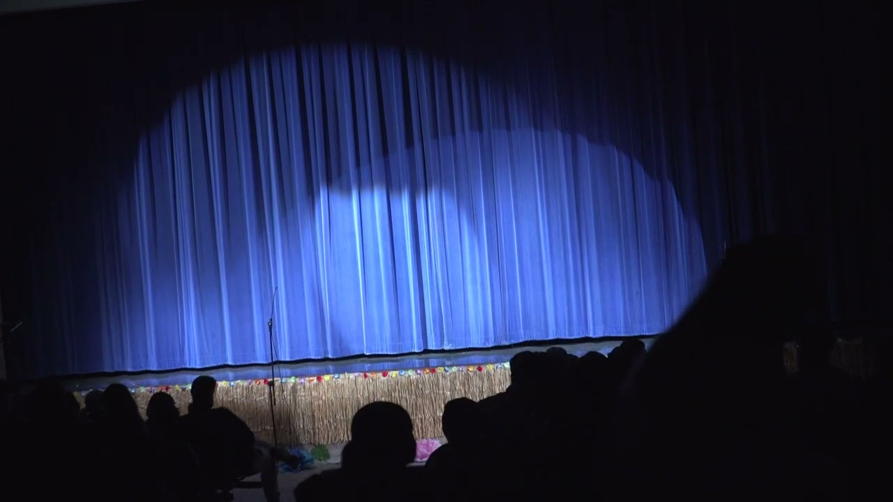 Aldrich Middle School Lion King, Jr