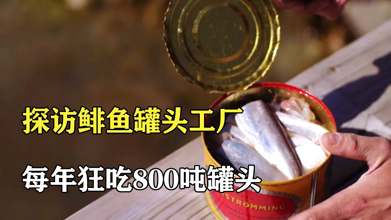 探訪鯡魚罐頭工廠：每年吃掉上百噸&ldquo;生化武器&rdquo;，瑞典人為何欲罷不能