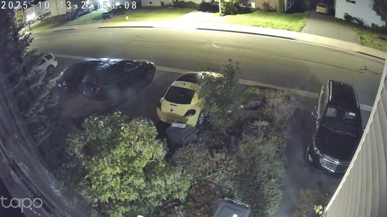 NOT EVEN TRYING TO HIDE IT. DON'T GIVE A SHIT ABOUT COPS. NONE AROUND.