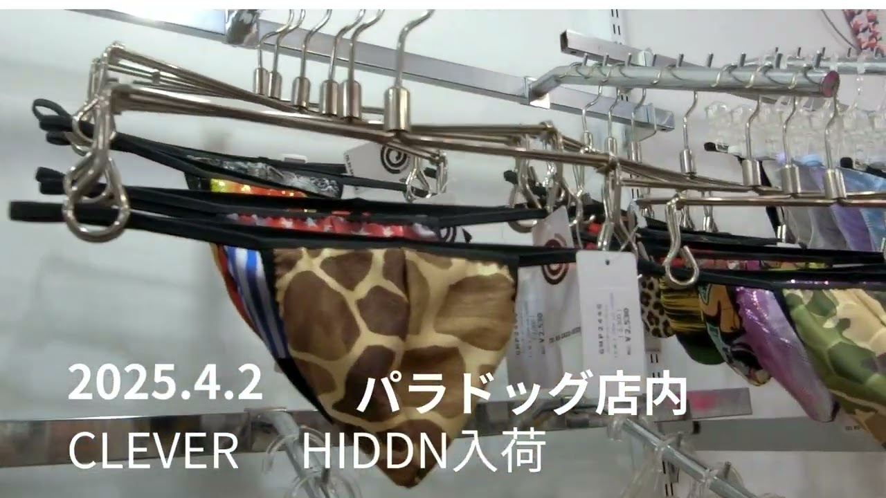 2025.4.2  原宿パラドッグ店内