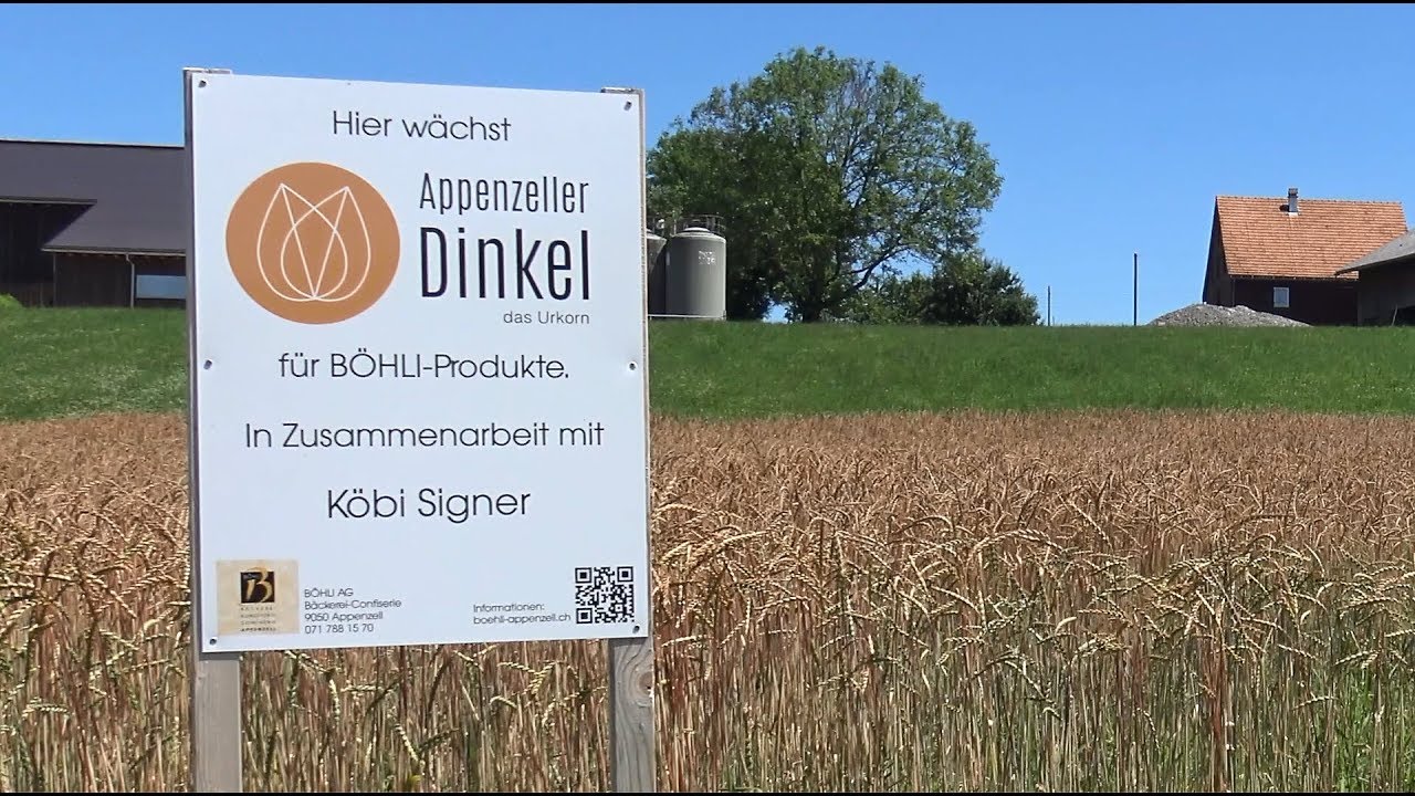 Appenzeller Dinkel – Ein Projekt der Neuen Regionalpolitik (NRP)