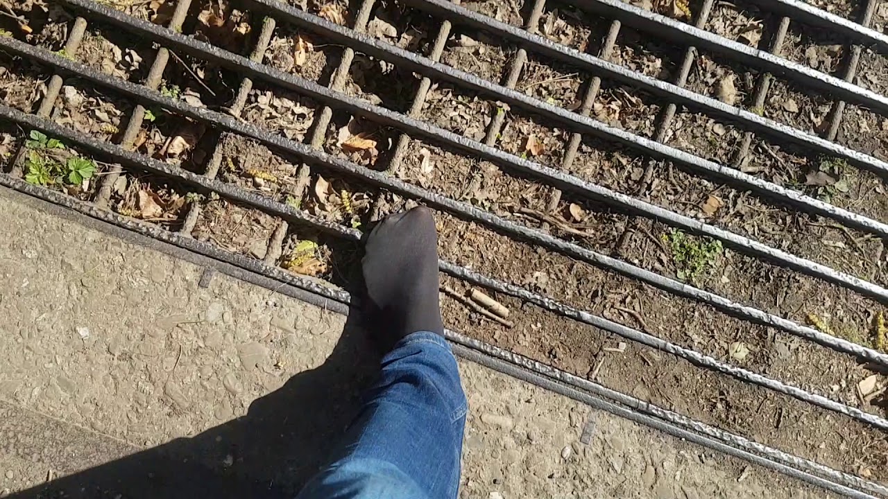 walk in socks through the woods