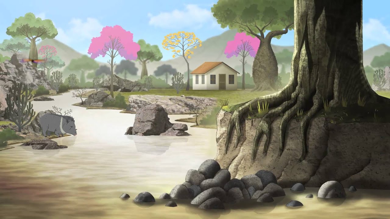 Bosque Seco Tropical
