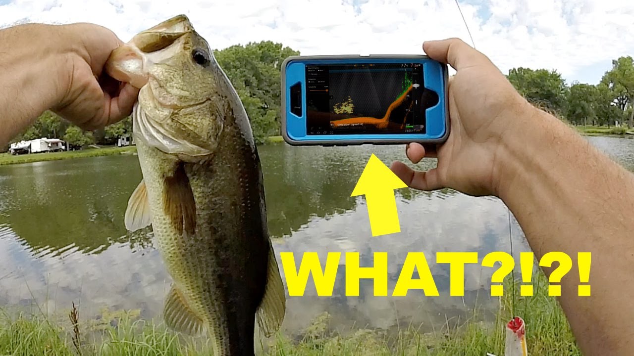 How to Turn Your Phone into a FISH FINDER for Bank Fishing!!!