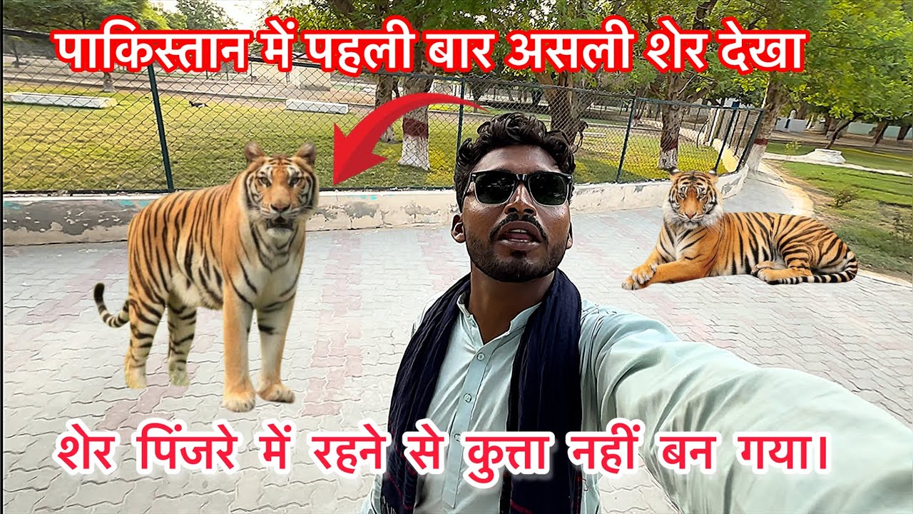 Saw a real lion for the first time at the Pakistani Zoo || Harchand Ram Vlogs