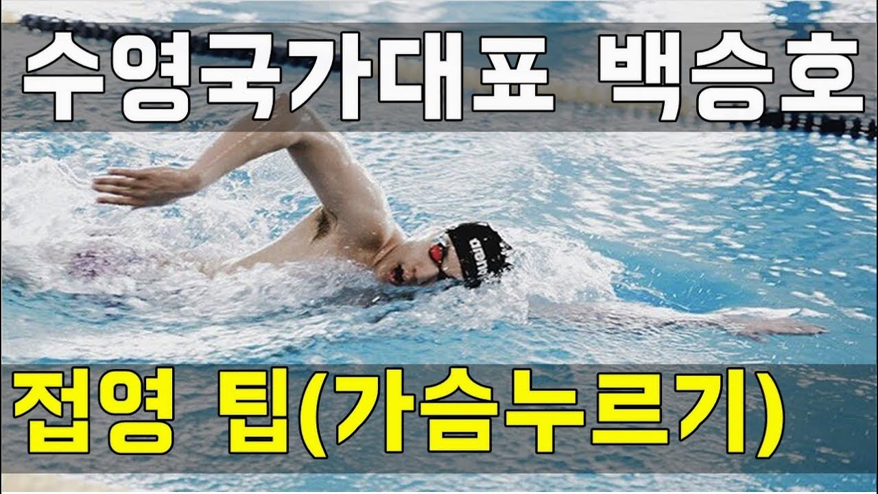 SHC 수영강습_수영 국가대표 백승호 접영 팁(가슴누르기)