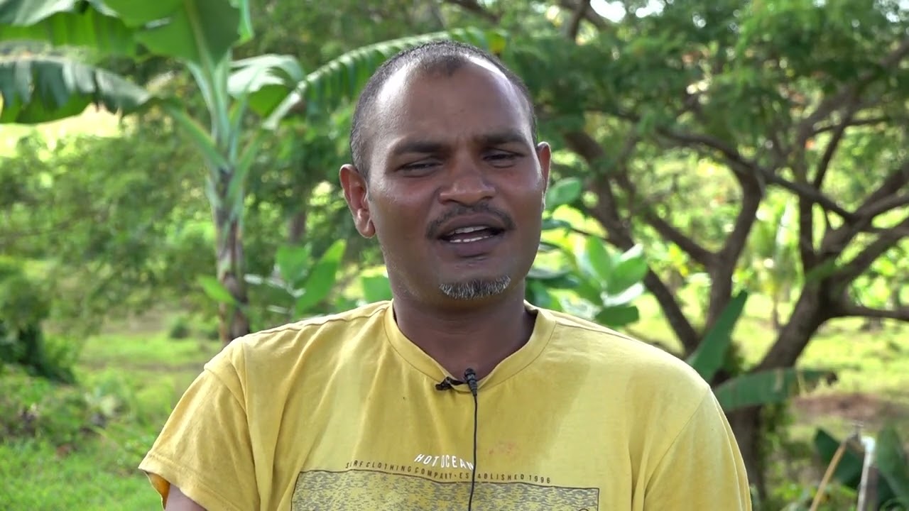 Rajnil Chand Maharaj - Pineapple farmer from Navudi, Seaqaqa