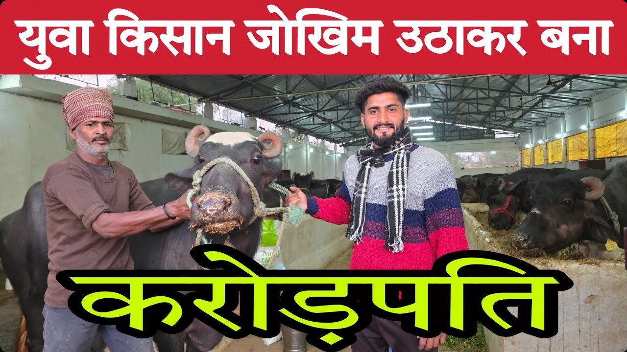 युवा किसान जोखिम उठाकर 🥵 90 लाख लोन से कैसे बना करोड़पति❓dairy farm loan in India 💱
