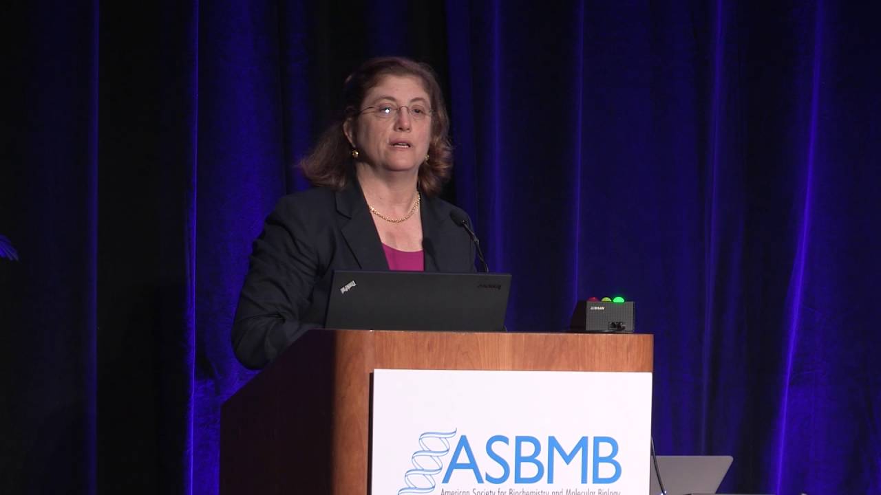 Susan J. Baserga: William C. Rose Award Lecture
