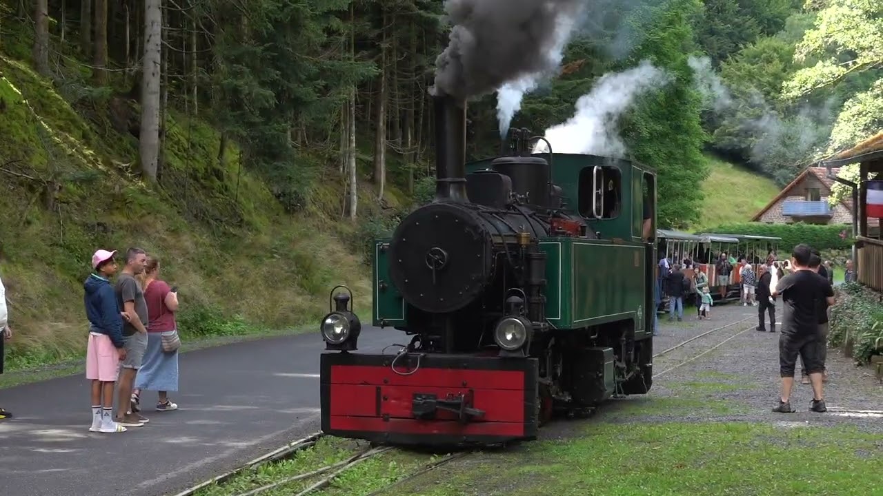 The Abreschviller Forest Train in Lorraine