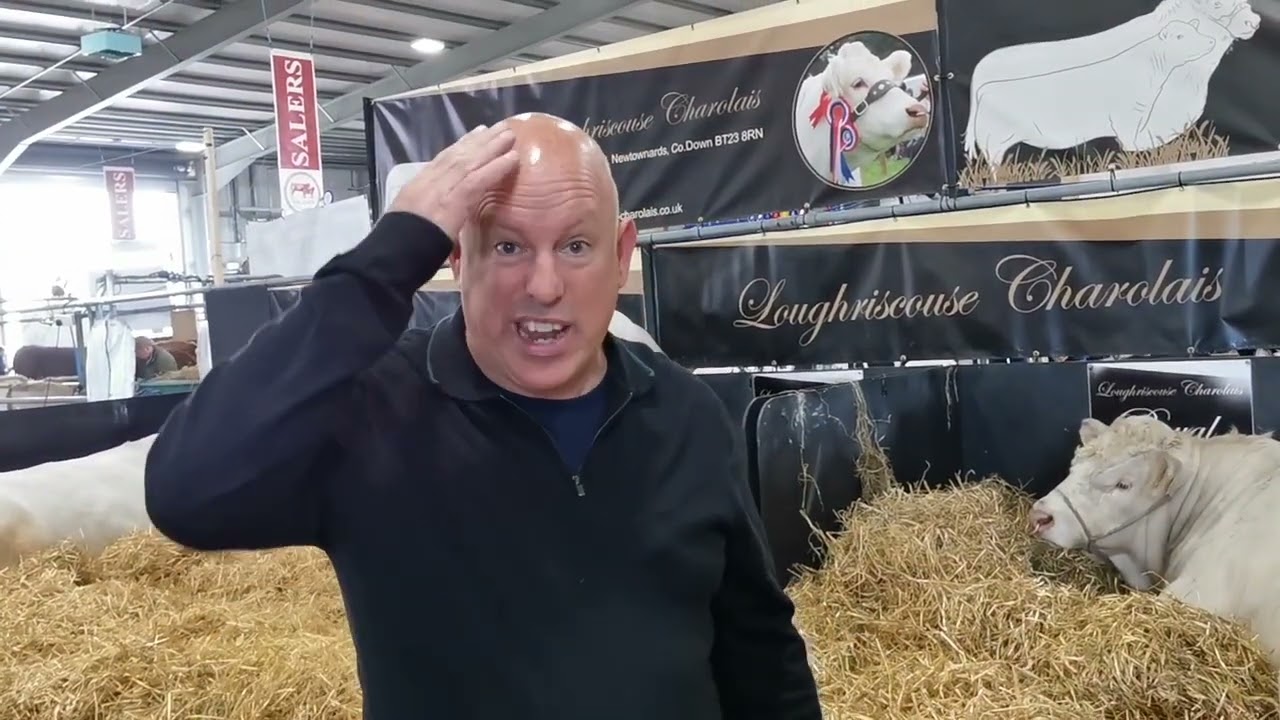 Colin Visits the Cows