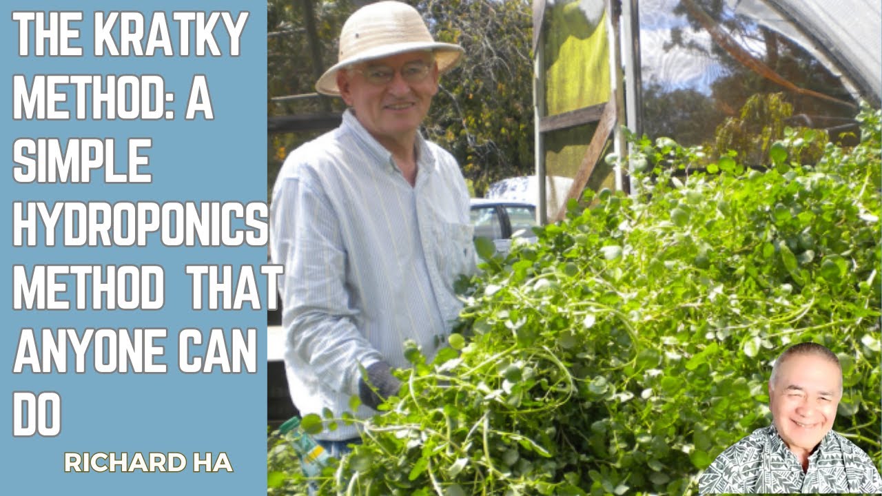 Want to Grow Plants Easier? Here's the Secret to Kratky Method Success