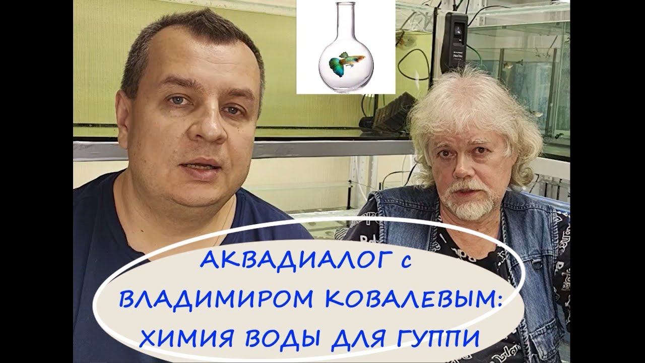 Аквадиалог с Владимиром Ковалевым: химия воды для гуппи