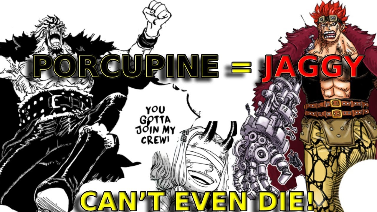 Rocks’ Legacy Lives On – Kid’s True Identity Explained! One Piece Theory