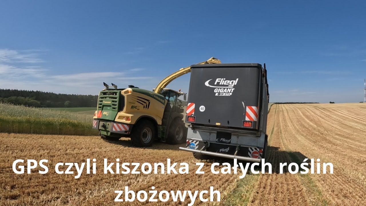#21 Robimy GPS z jęczmienia z żytem dla bydła opasowego i krów mlecznych - KRONE BIG X 680