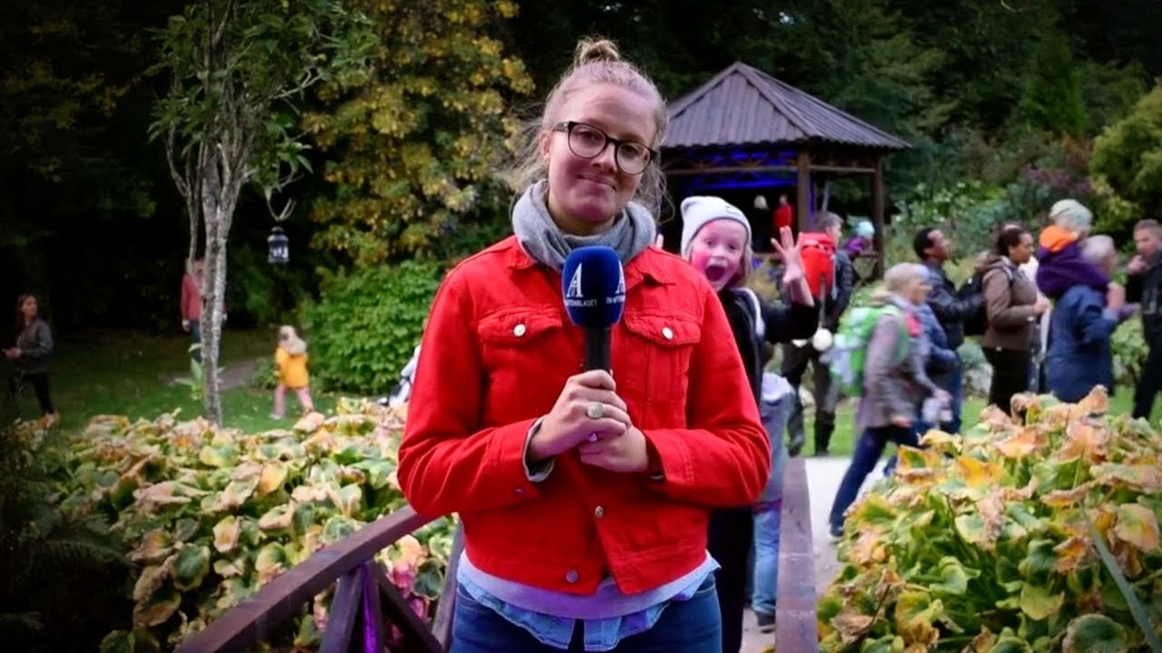 Nyhets&aring;ret 2017 fra Stavanger Aftenblad