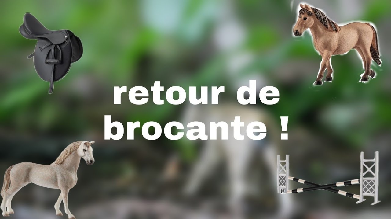 Retour de brocante 2018