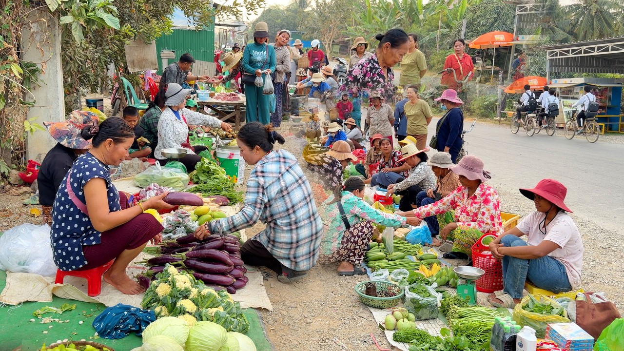 សំបូរបន្លែលក់ណាស់ព្រឹកនេះ សុទ្ធតែបន្លែធម្មជាតិ