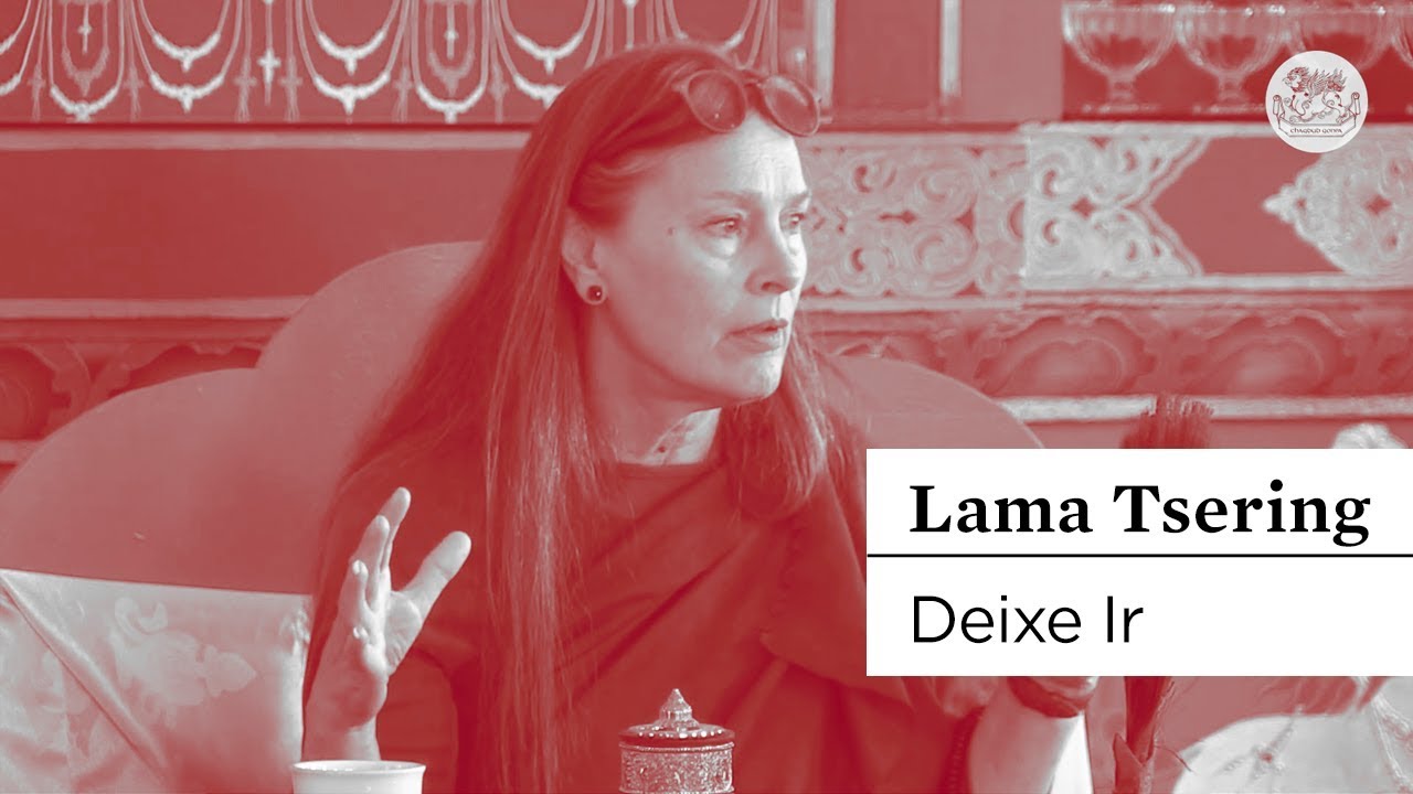 #BUDISMO | O caminho budista é redução | Lama Tsering Everest
