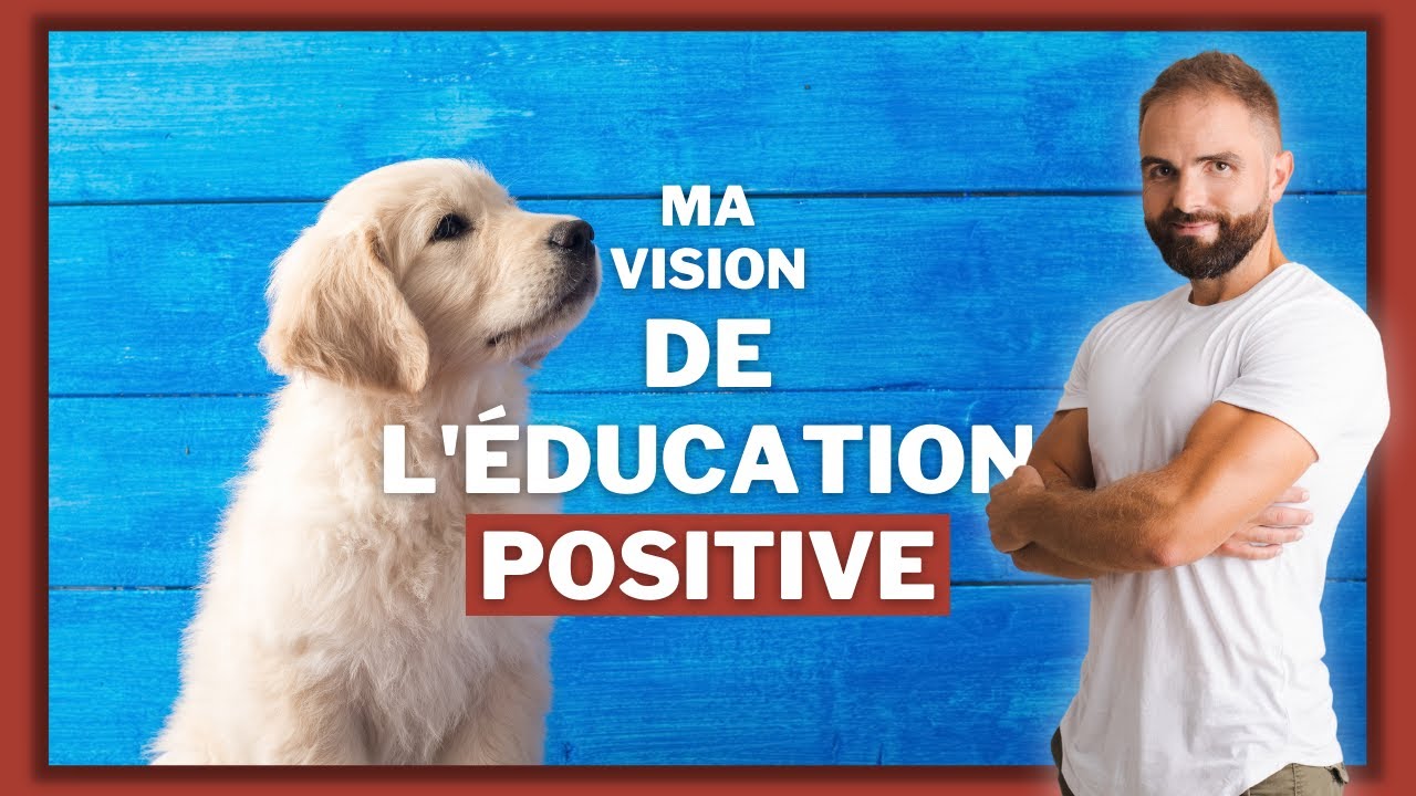 L'&eacute;ducation positive c'est &ccedil;a !