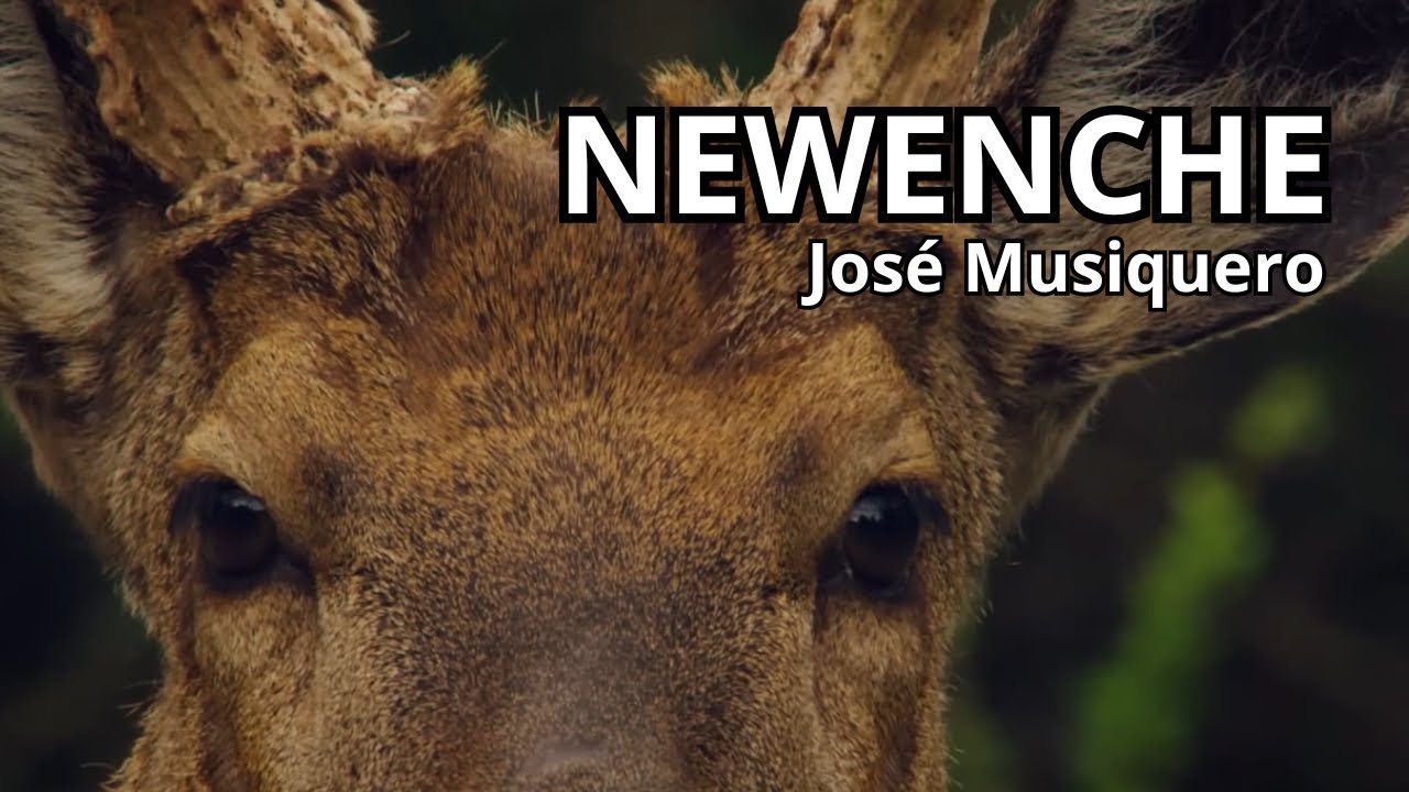 Newenche