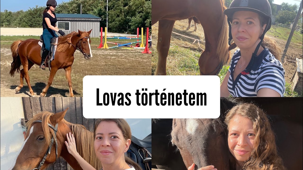 Lovas t&ouml;rt&eacute;netem 🐴