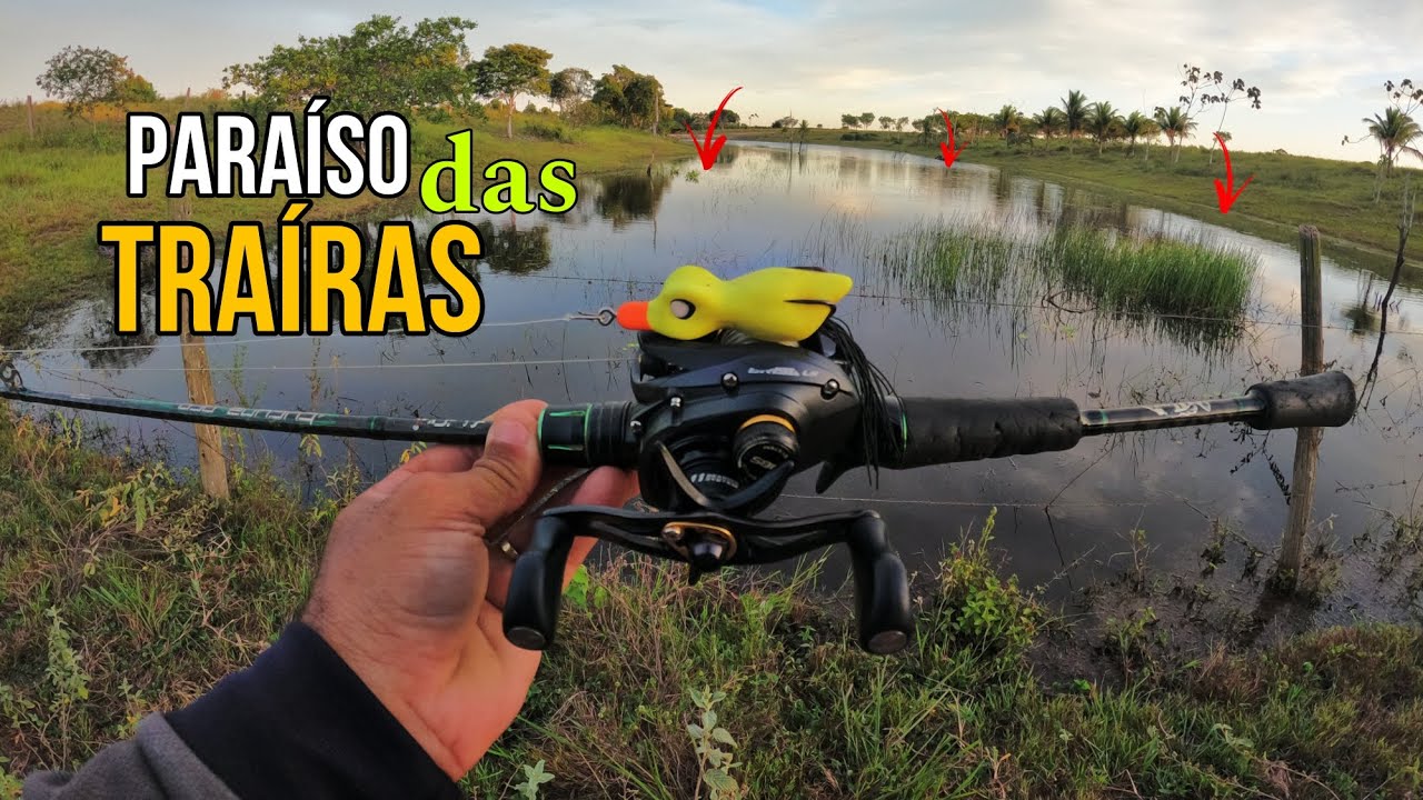 O paraíso escondido que todo PESCADOR sonha conhecer! PESCARIA de TRAÍRAS