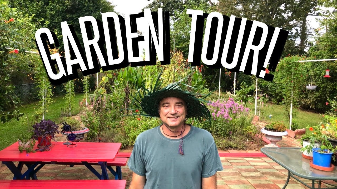 Hummingbird Garden Tour!