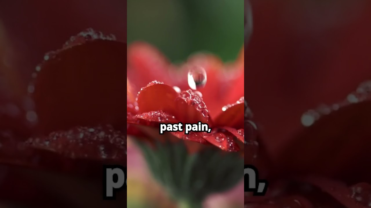 Finding Purpose in Pain — God Never Wastes Your Suffering