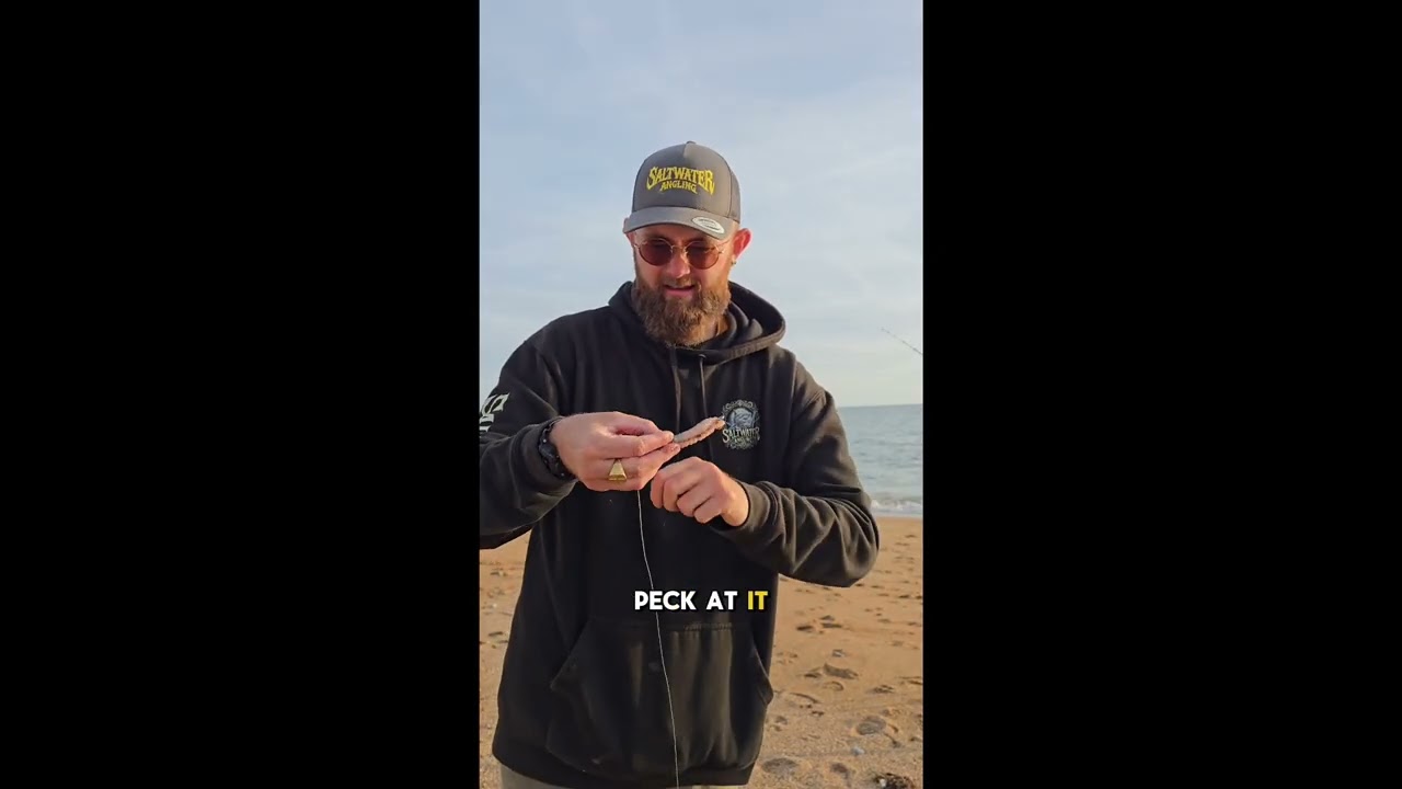 Dongle Rigs For Sea Fishing