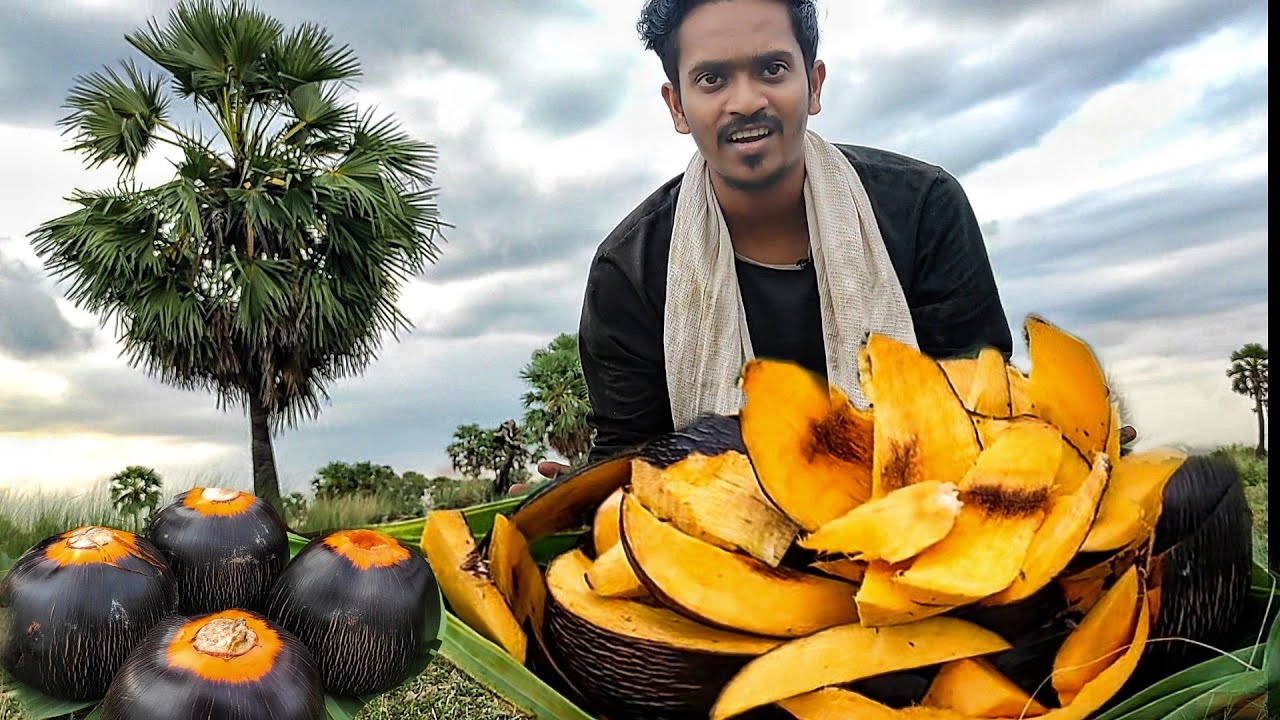 Primitive Technology Palm Fruits cooking | பனம்பழம்| Rajkamal vlogs
