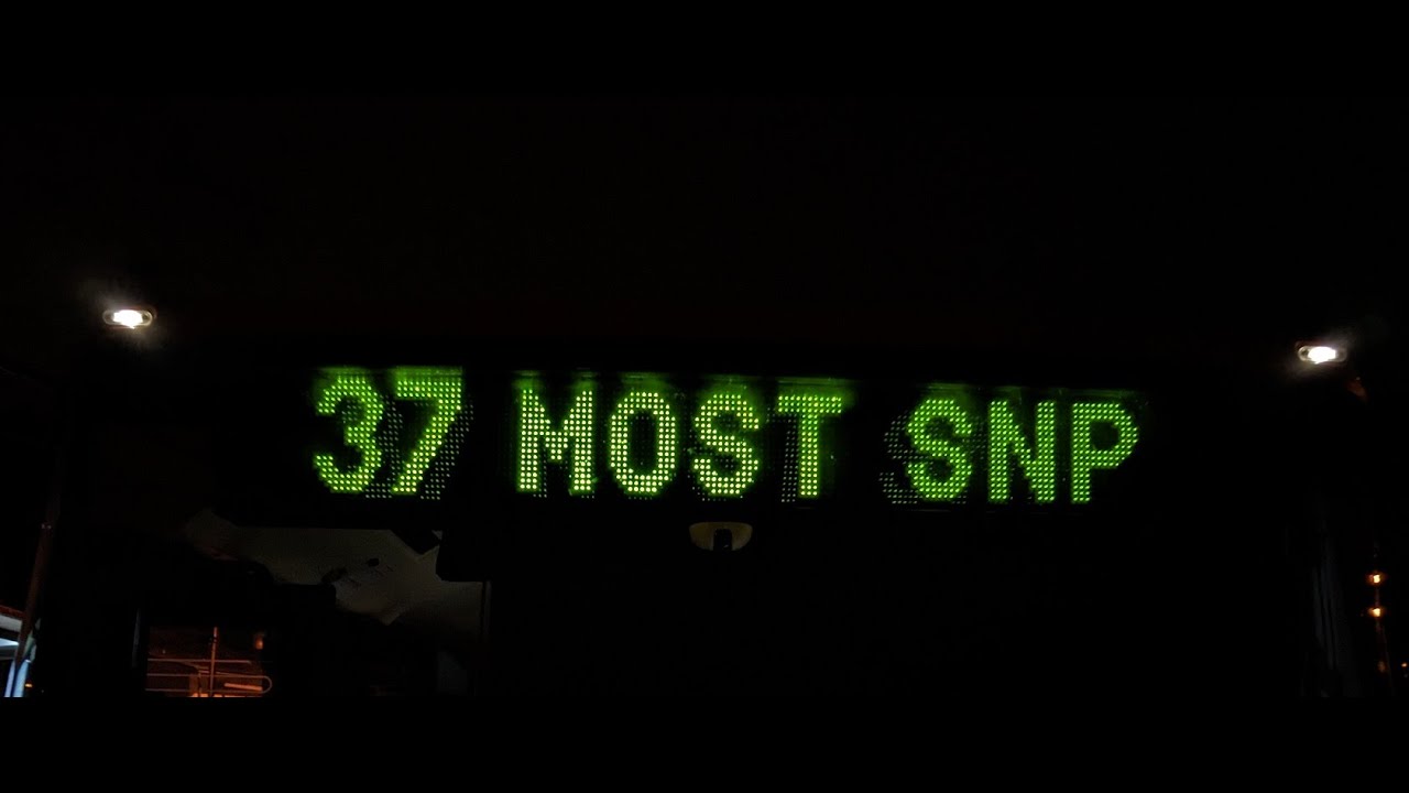 37 | Záhorská Bystrica → Most SNP a ⮌ 03/25 (dážď)