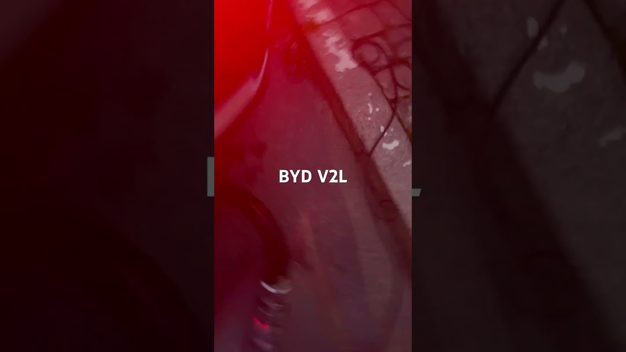 BYD V2L adapter